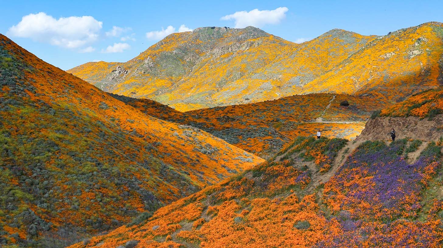 Grasslands live in the climate change fast lane