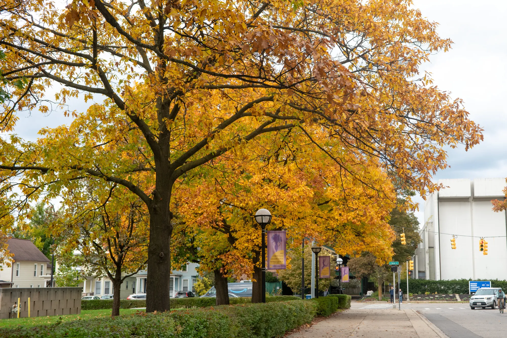 Michigan’s muted fall foliage may be a symptom of climate change